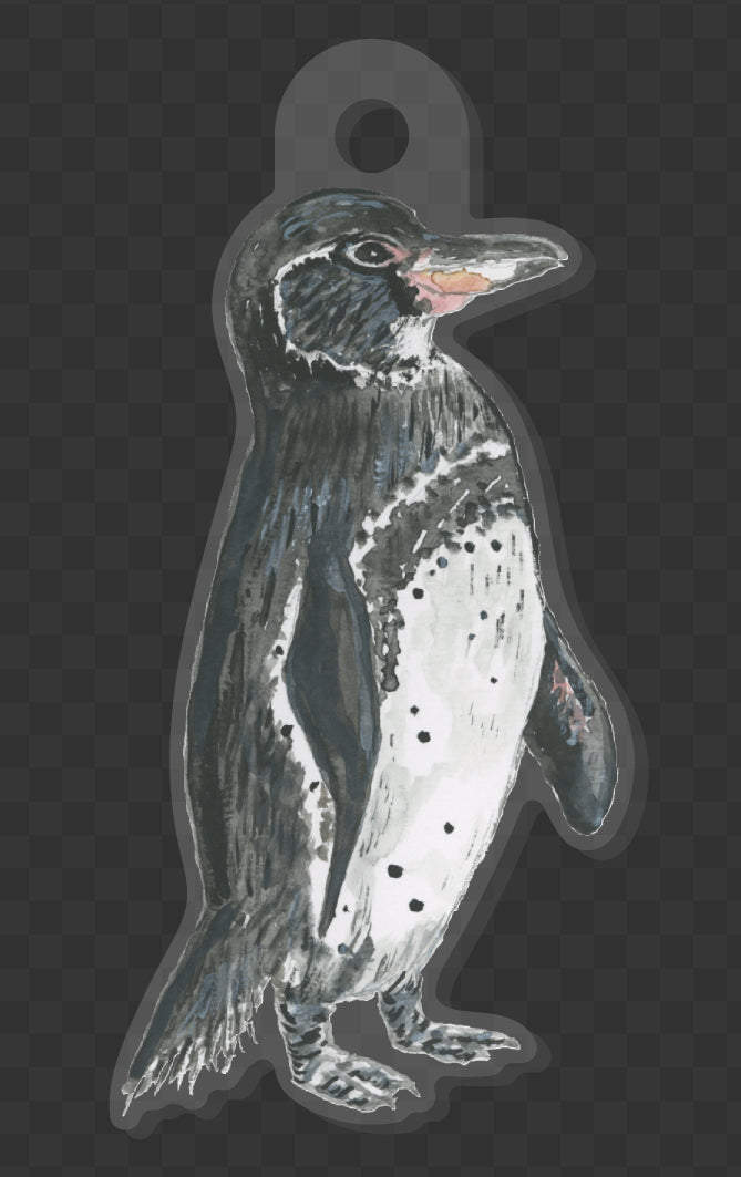 Galapagos Penguin Key Chain