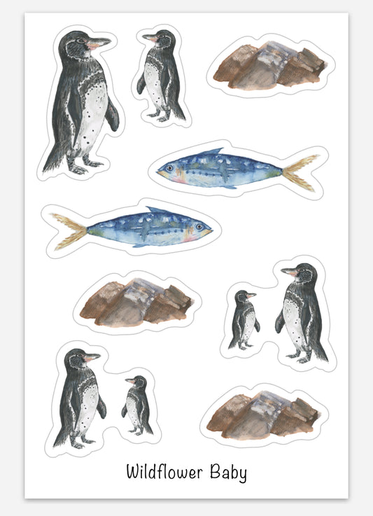 Galapagos Penguin Sticker Sheet