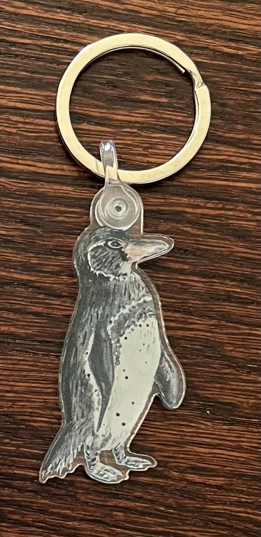 Galapagos Penguin Key Chain