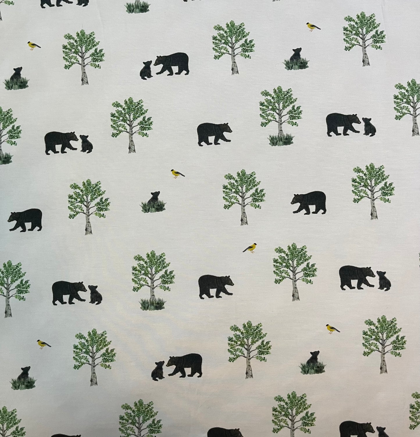 Bear || Youth Blanket